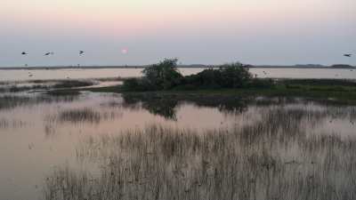 Ibera wetlands