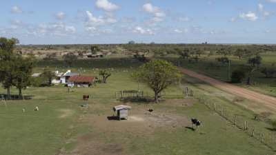 Farmland close to Ibera Provincial Reserve