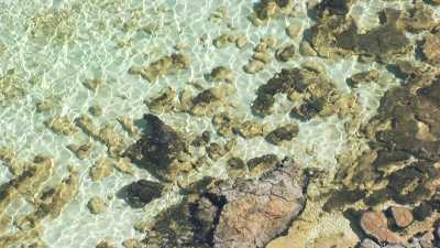 Stromatolites through water