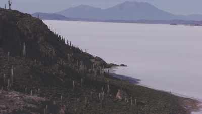 Salar and Incahuasi island