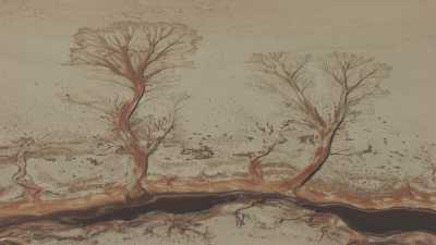 Tree forms, dried river tributaries on Uyuni saline
