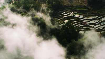 Rice fields in the clouds