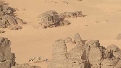 Tuareg and camels
