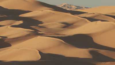 Soft shapes of Saharan dunes and shadows