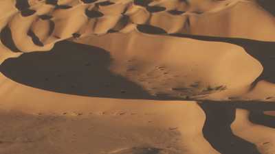 Soft shapes of Saharan dunes