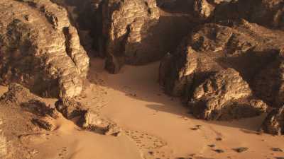 Dromadaries and canyon in the rocky desert (Djanet region)
