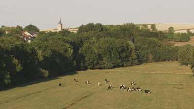 Pastures in the French countryside