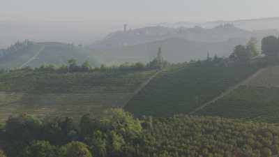 Vineyards in the mists in Liguria