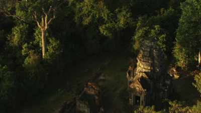 Temple ruins in the thick forest