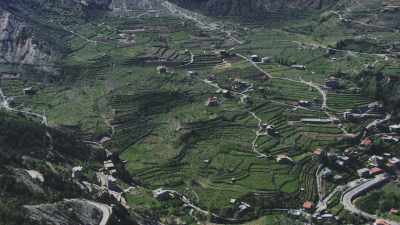 valley and terrace farming