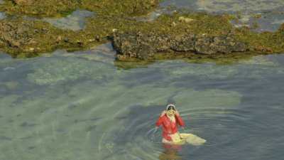El Jadida, fishermen collecting red algae