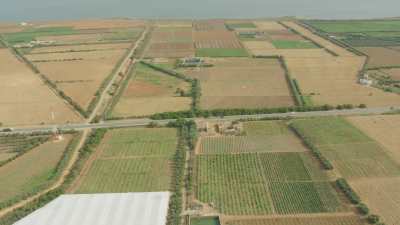 Fields and crops on the coast