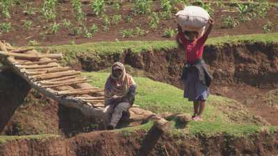 Madagascan farmers in the fields