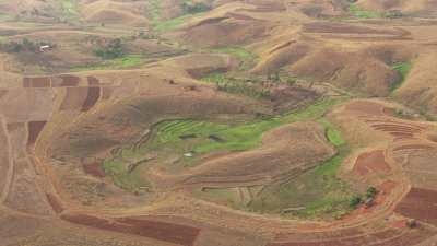 Madagascan fields and farms