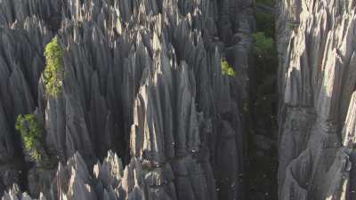 The Tsingy de Bemaraha National Park