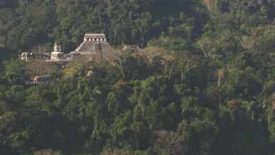 Palenque Maya temples in the forest