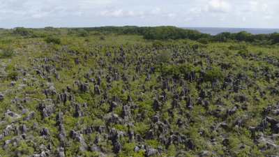 The plateau and the intricate coral pinnacle field, remains of the phosphate extraction