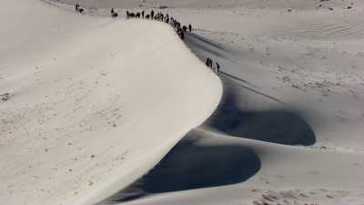 Yak caravan over the Indus, Gilgit-Baltistan