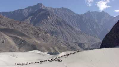Yak caravan over the Indus
