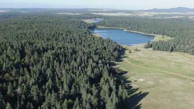 Ifrane National Park, forests and lakes