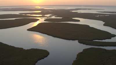 Ibera National Park and natural preserve