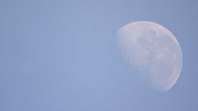 Moon