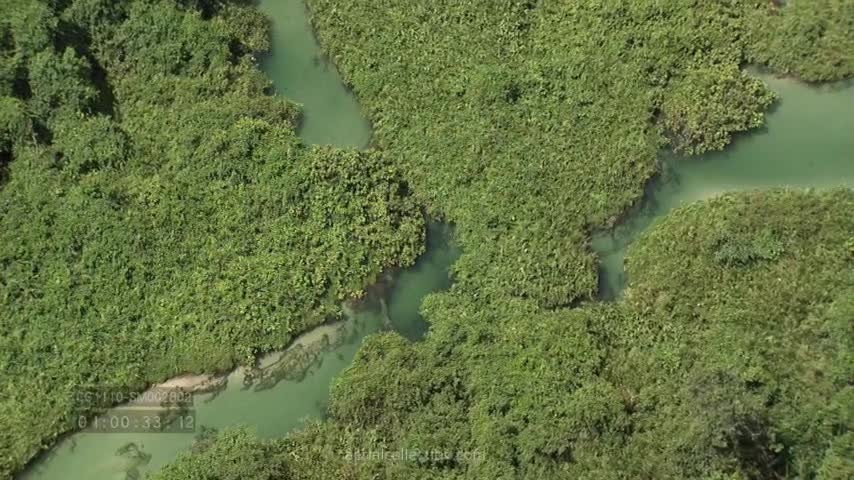 CONGO RIVER