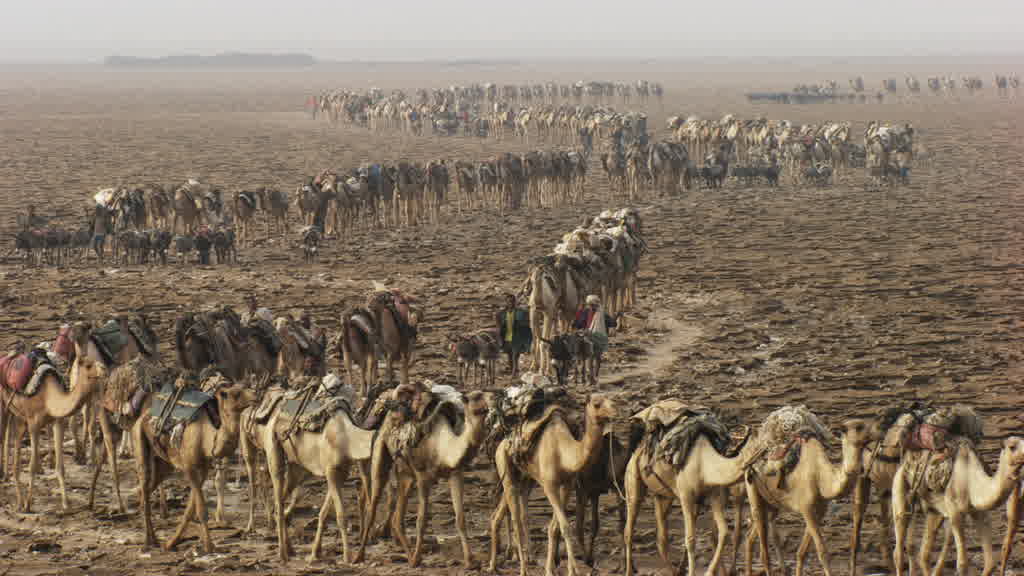 The Grueling Salt Extraction at Lake Assal
