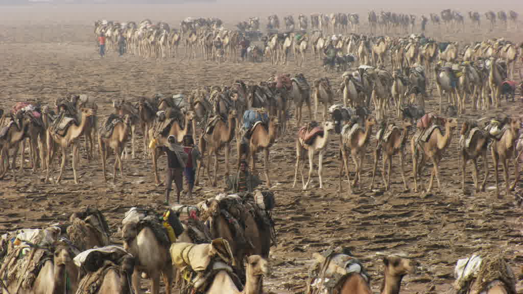 The Grueling Salt Extraction at Lake Assal