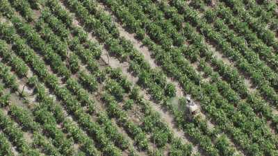 Farming