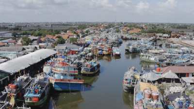 Déchargement de poisson sur la côte nord de Java