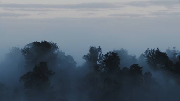 New Zealand landscapes