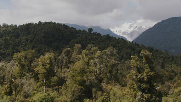 New Zealand landscapes