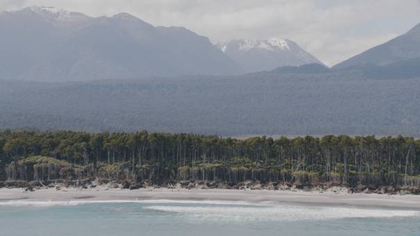 New Zealand landscapes