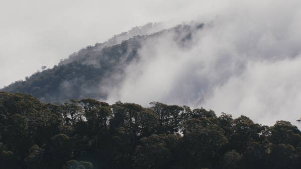 New Zealand landscapes