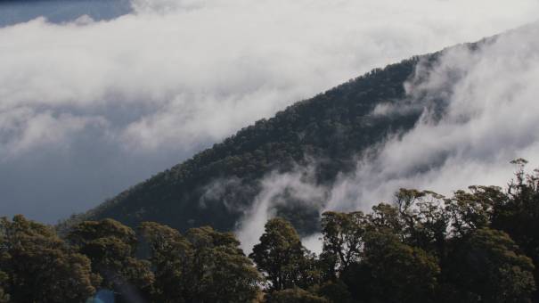 New Zealand landscapes