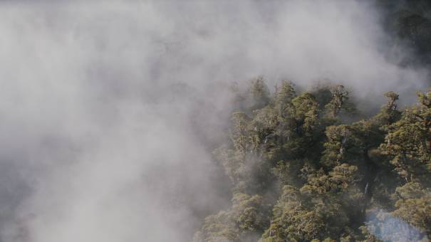New Zealand landscapes