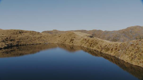 New Zealand landscapes