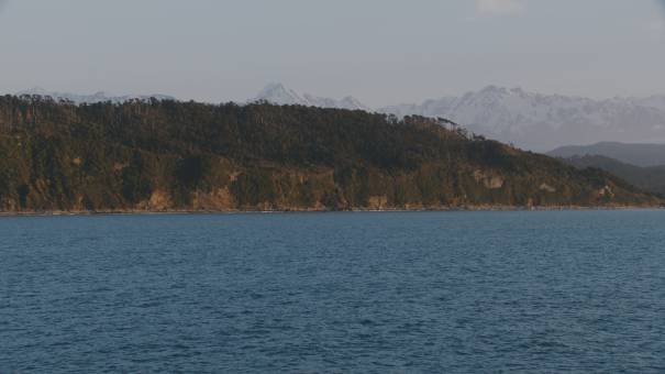 New Zealand landscapes