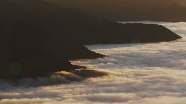 New Zealand landscapes