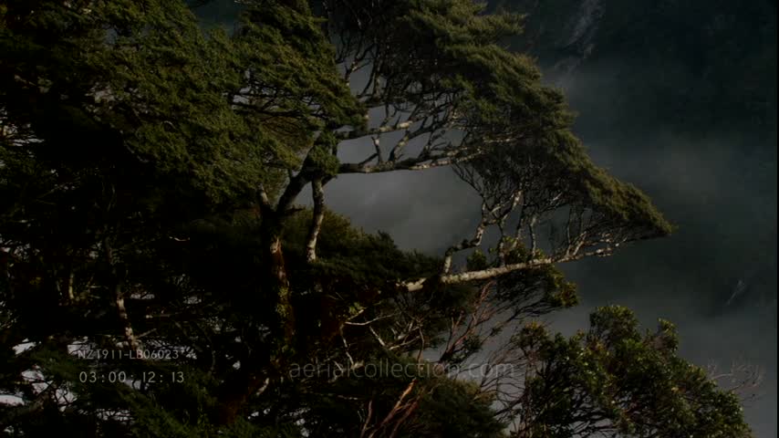 New Zealand landscapes