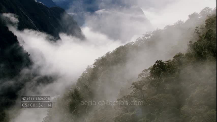 New Zealand landscapes