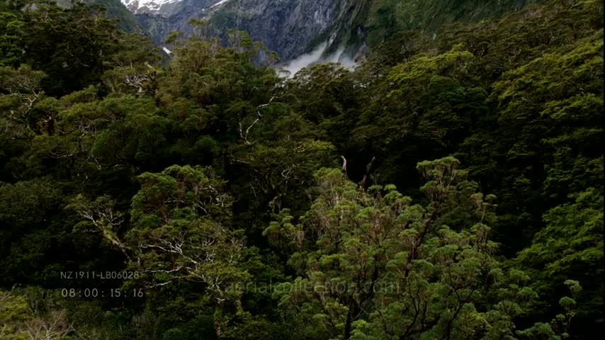 New Zealand landscapes