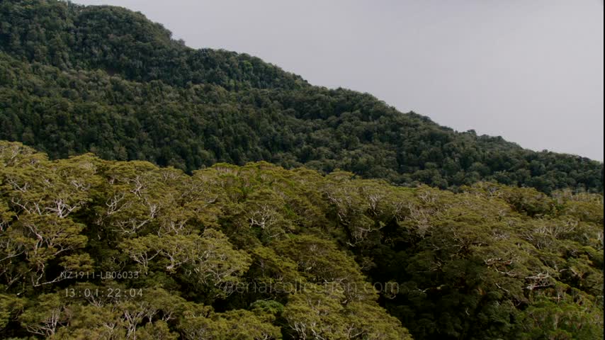 New Zealand landscapes