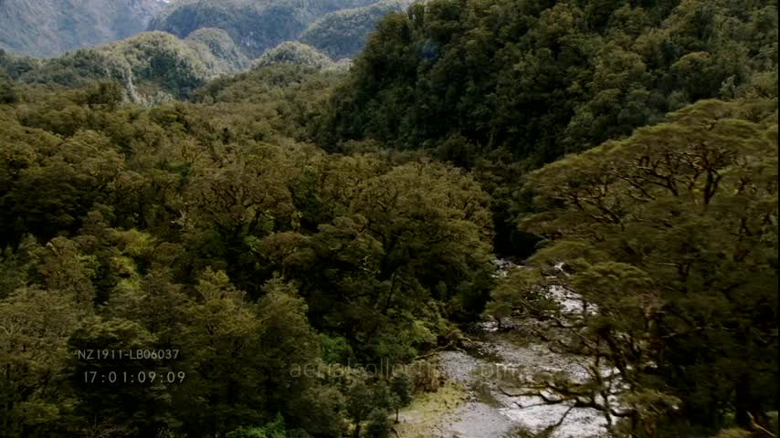 New Zealand landscapes