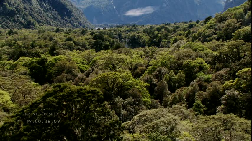 New Zealand landscapes