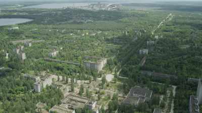 Nature flourishes in the deserted city