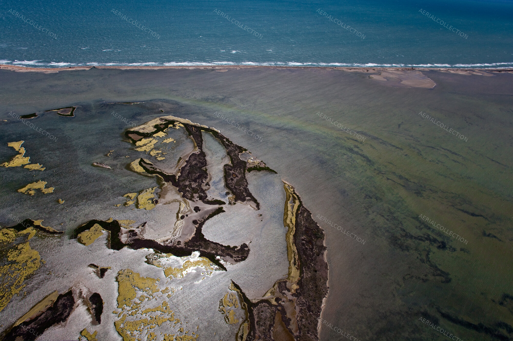 Camargue