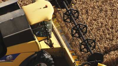 Harvesting in Beauce