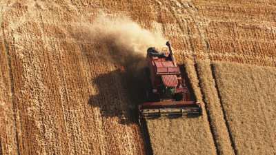 Harvests in Beauce